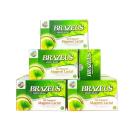 brazeus 4 I3544 130x130px