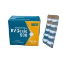 bv gesic 500 2 D1087 130x130px