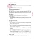 bv merin 135 4 U8331 130x130px