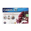 cabos k2 1 L4108 130x130px