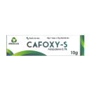 cafoxy s 01 1 E1151 130x130px