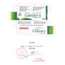 cafoxy s 01 4 D1583 130x130px