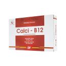 calci b12 dai y pharma 1 E1546 130x130px