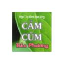 cam cum bao phuong 4 N5503 130x130px