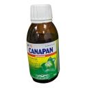 canapan intend 4 Q6624 130x130px