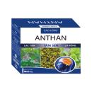 cao long anthan 1 R7012 130x130px