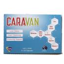 caravan 1 L4660 130x130
