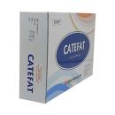 catefat 1 M5081 130x130px