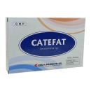 catefat U8205 130x130px