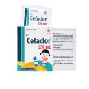 cefaclor 250mg domesco 2 F2813 130x130px