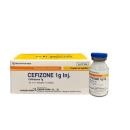 cefizone 1g inj 1 P6174 130x130px