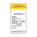 ceftazidim 1g vpc 2 B0503 130x130px
