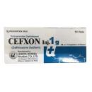 cefxon1 N5182 130x130px