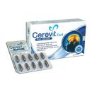 cerevit33 L4415 130x130px