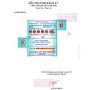 chau phach bao anh don 3 R7726 130x130px