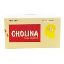 cholina 2 C1353 130x130px