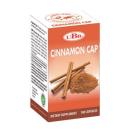 cinnamon cap ubb 2 Q6577 130x130px