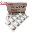clabact 500 11 L4141 130x130px