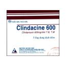 clindacine 600 1 G2768 130x130px