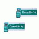 cloxacillin 1g 0 I3738 130x130px