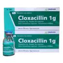cloxacillin 1g O5706 130x130px