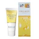 collagen creme forte sanct bernhard 1 P6100 130x130px