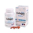 collagen gc H3218 130x130