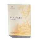 collagen nmn plus 2 O6160 130x130px