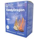 cordy dragon 5 R7847 130x130px