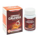 cordycep cali usa dong trung ha thao 1 B0075 130x130px