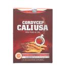 cordycep cali usa dong trung ha thao 3 G2053 130x130px