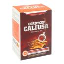 cordycep cali usa dong trung ha thao 4 A0326 130x130px