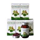 cotrian 1 T7346 130x130px