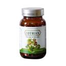 cotrian 3 C0424 130x130px