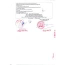 coxileb 100 5 E1554 130x130px