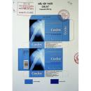 coxlec 200mg 3 U8757 130x130px