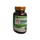 cp brain platinum 5 H3224 130x130px