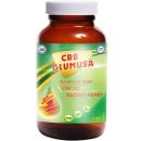 crb glumusa 1 R7745 130x130px