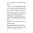 cytobicil 4 L4437 130x130px