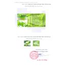 dau tram gio moc hoa tram 5ml 3 U8280 130x130px