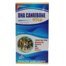 dha canxibone gold 4 E1314 130x130px