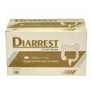 diarrest 600mg D1012 130x130px