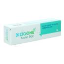 dizigone nano bac 3 L4086 130x130px