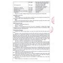 ebastin 10mg vacopharm 6 D1626 130x130px