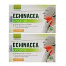 echinacea kingphar 1 D1087 130x130px