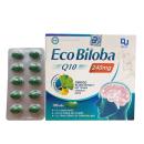 eco biloba q10 dai uy 3 Q6032 130x130px