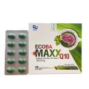 ecoba maxx q10 1 B0525 130x130px