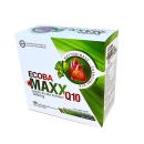 ecoba maxx q10 4 P6614 130x130px