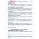 elogabalin 50mg 6 J3853 130x130px