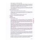 eltomax 5 V8622 130x130px